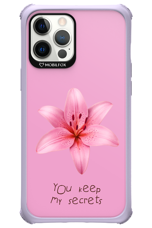 Secrets 2.0 - Apple iPhone 12 Pro Max