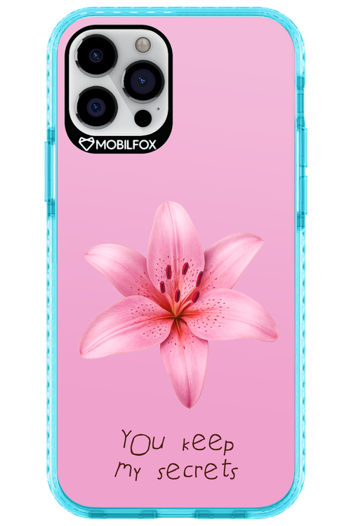 Secrets - Apple iPhone 12 Pro