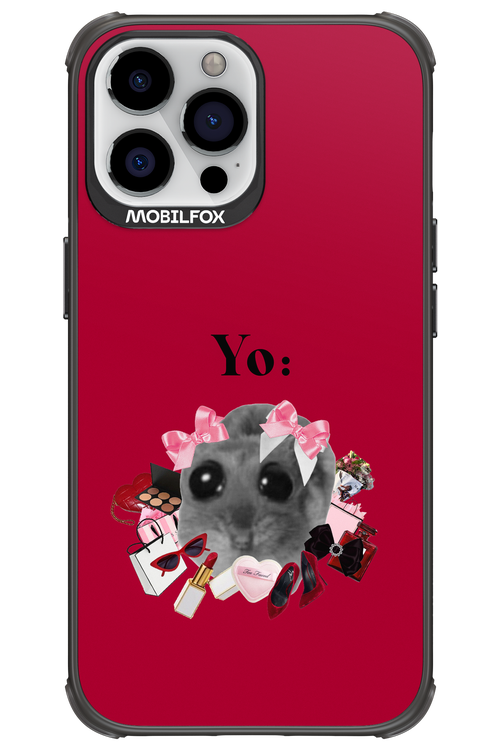 YO - Apple iPhone 13 Pro Max