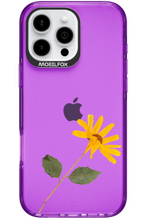 Pressed Flower - Apple iPhone 16 Pro Max