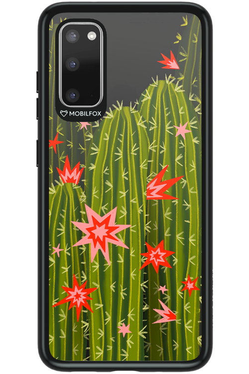Cactus bloom 2.0 - Samsung Galaxy S20
