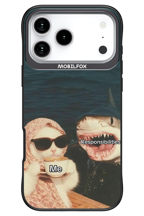 Responsibilities - Apple iPhone 17 Pro Max