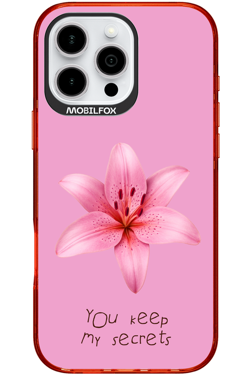 Secrets - Apple iPhone 16 Pro Max