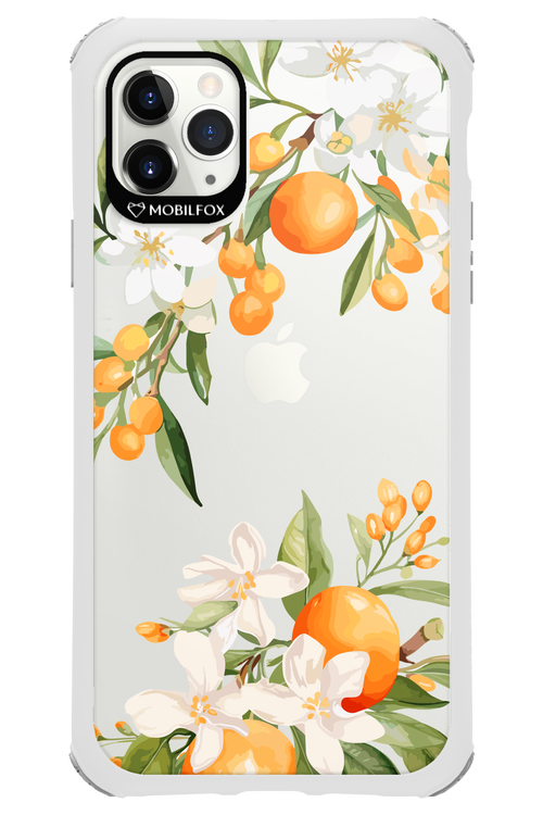 Amalfi Orange - Apple iPhone 11 Pro Max