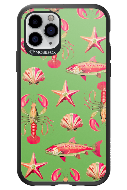 Sea Stars - Apple iPhone 11 Pro