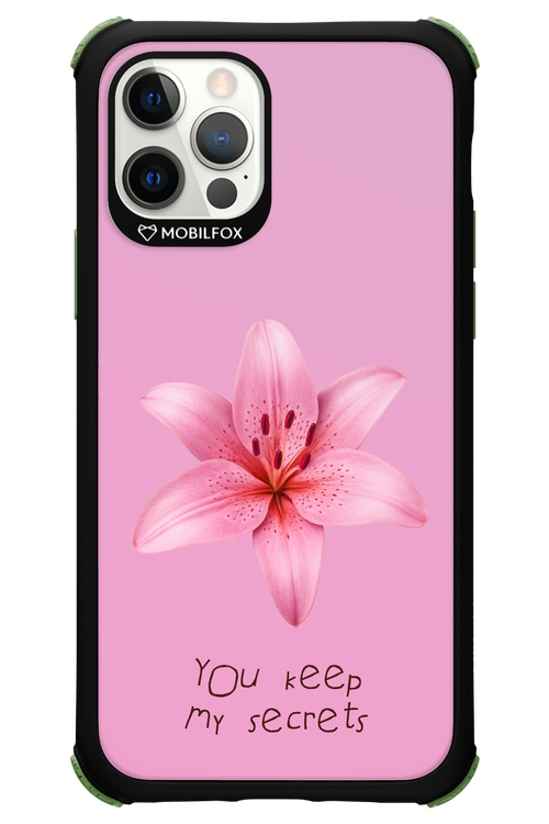 Secrets - Apple iPhone 12 Pro