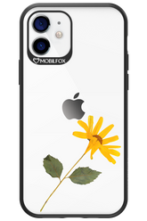 Pressed Flower - Apple iPhone 12