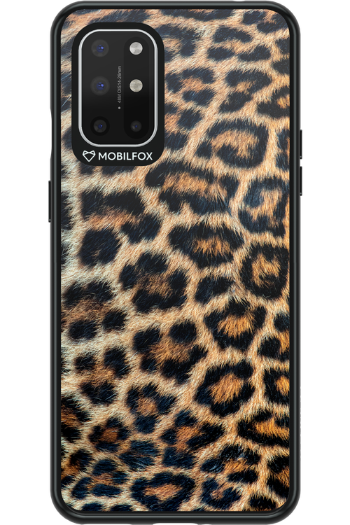 Leopard - OnePlus 8T