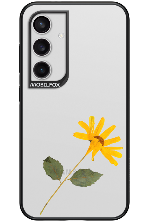 Pressed Flower - Samsung Galaxy S24