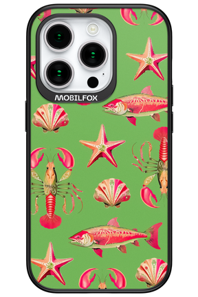 Sea Stars - Apple iPhone 15 Pro