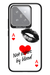 Not by Blood 2.0 - Xiaomi 14