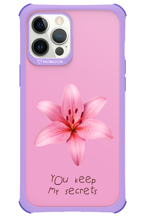 Secrets 2.0 - Apple iPhone 12 Pro Max