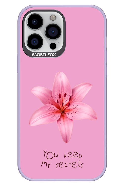 Secrets - Apple iPhone 13 Pro Max