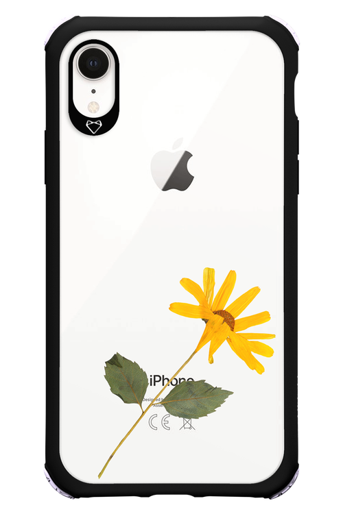 Pressed Flower - Apple iPhone XR