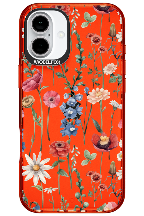 Flower Field 2.0 - Apple iPhone 16 Plus
