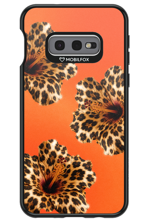 Sun Purr 2.0 - Samsung Galaxy S10e
