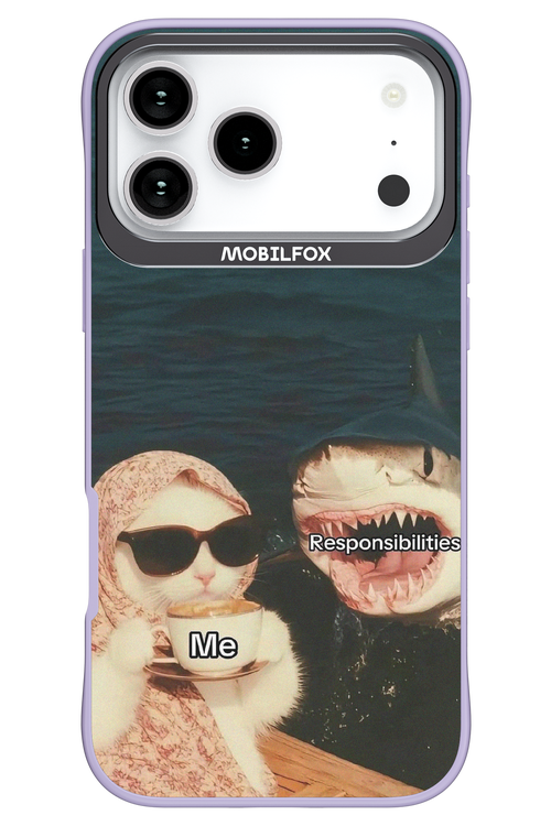 Responsibilities - Apple iPhone 17 Pro Max