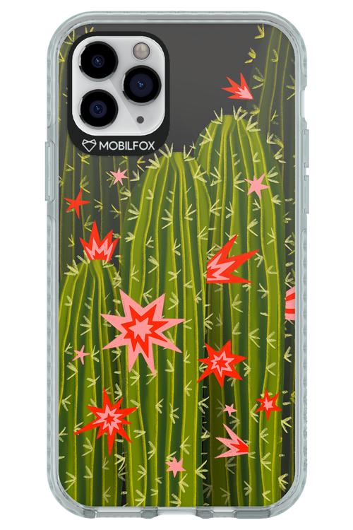 Cactus bloom 2.0 - Apple iPhone 11 Pro