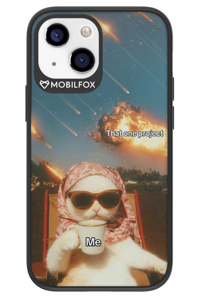 That one project - Apple iPhone 13 Mini