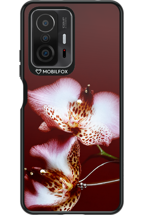 Leobloomy 2.0 - Xiaomi Mi 11T