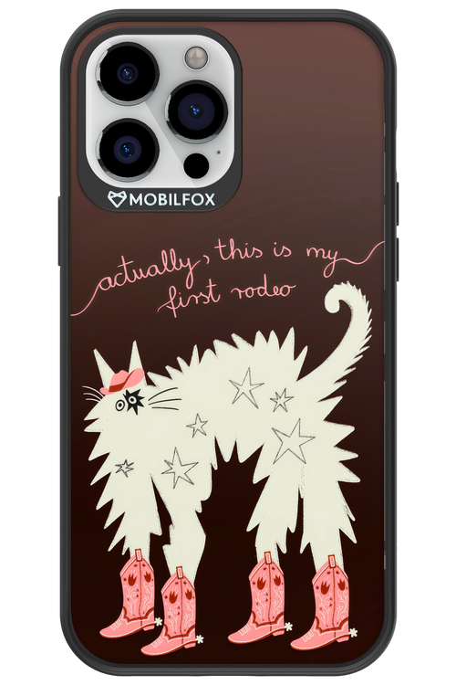 First rodeo 2.0 - Apple iPhone 13 Pro Max