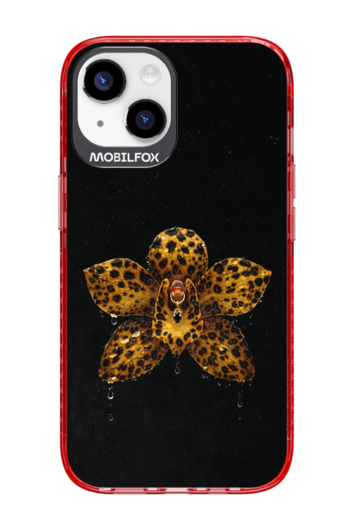 Wet & Wild - Apple iPhone 14