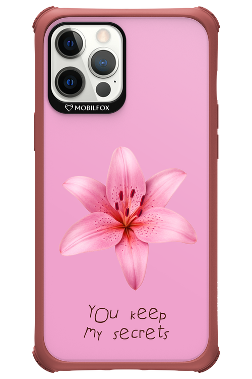 Secrets 2.0 - Apple iPhone 12 Pro Max