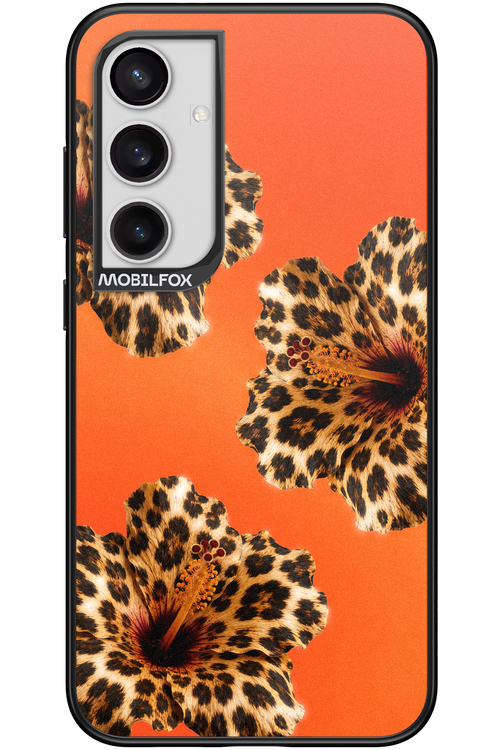 Sun Purr 2.0 - Samsung Galaxy S24+