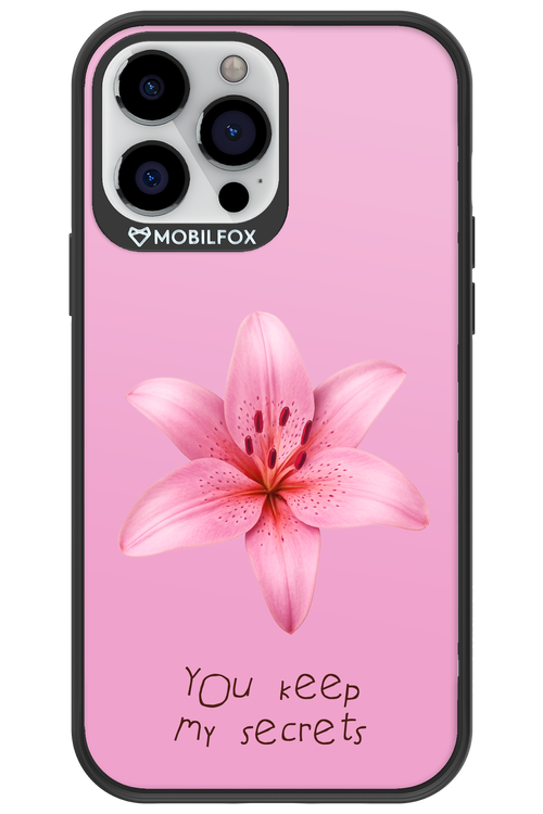Secrets 2.0 - Apple iPhone 13 Pro Max