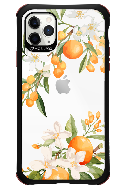 Amalfi Orange - Apple iPhone 11 Pro Max