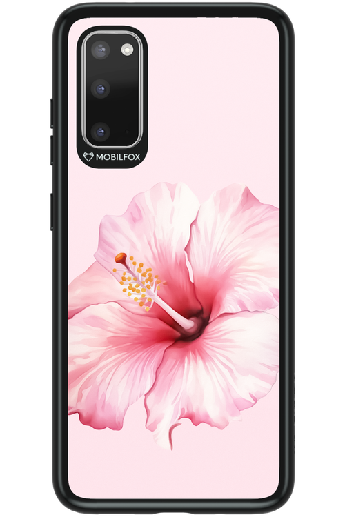 HibiPinky 2.0 - Samsung Galaxy S20