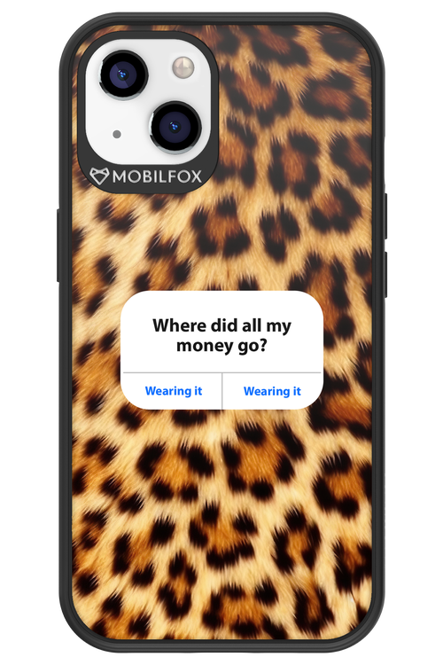 My Money 2.0 - Apple iPhone 13