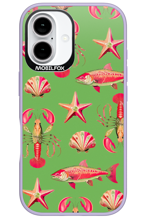 Sea Stars - Apple iPhone 16