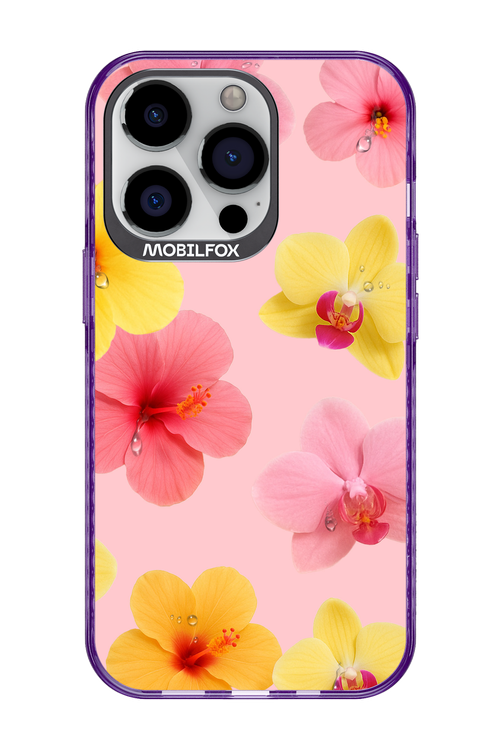Sunset Flowers - Apple iPhone 13 Pro