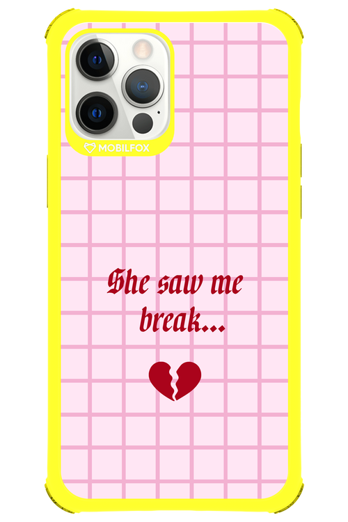 Break - Apple iPhone 12 Pro Max