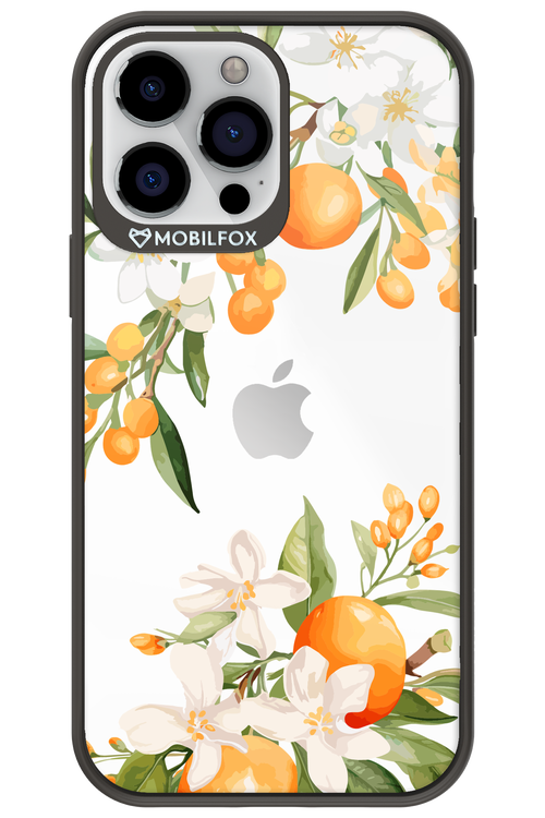 Amalfi Orange - Apple iPhone 13 Pro Max