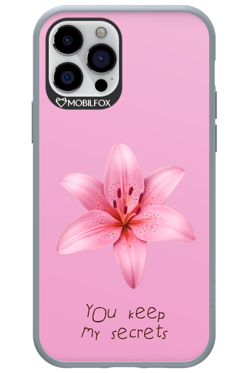 Secrets 2.0 - Apple iPhone 12 Pro