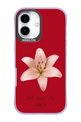 Chaos - Apple iPhone 17