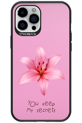 Secrets 2.0 - Apple iPhone 12 Pro Max