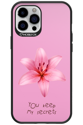 Secrets 2.0 - Apple iPhone 12 Pro Max