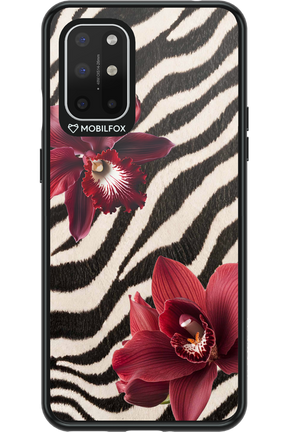 Vintage Flower 2.0 - OnePlus 8T