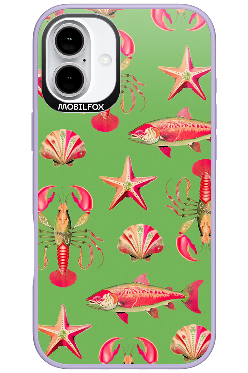 Sea Stars - Apple iPhone 16 Plus