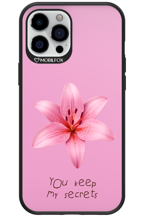 Secrets 2.0 - Apple iPhone 12 Pro Max
