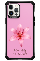 Secrets - Apple iPhone 12 Pro Max