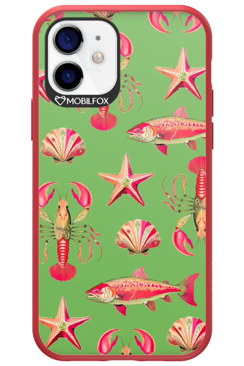 Sea Stars - Apple iPhone 12