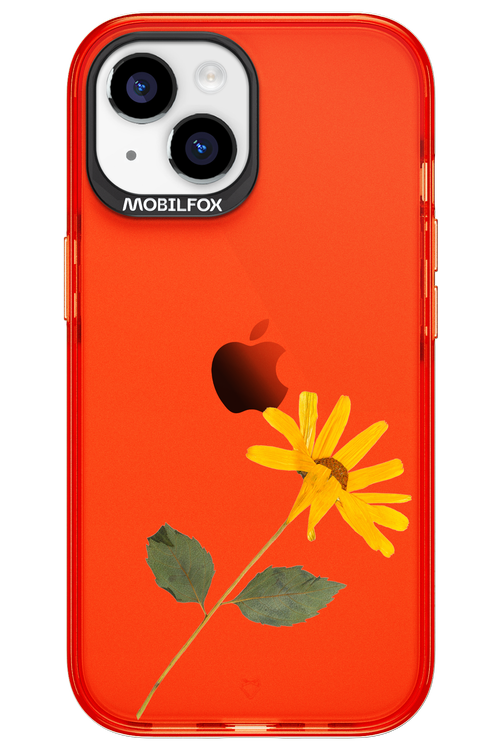 Pressed Flower - Apple iPhone 15