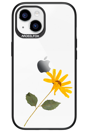 Pressed Flower - Apple iPhone 15