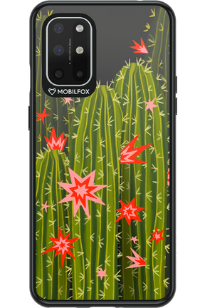 Cactus bloom 2.0 - OnePlus 8T