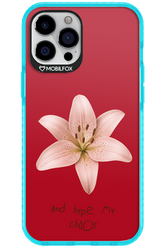 Chaos - Apple iPhone 12 Pro Max