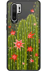 Cactus bloom 2.0 - Huawei P30 Pro